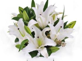 White Lily Bouquet