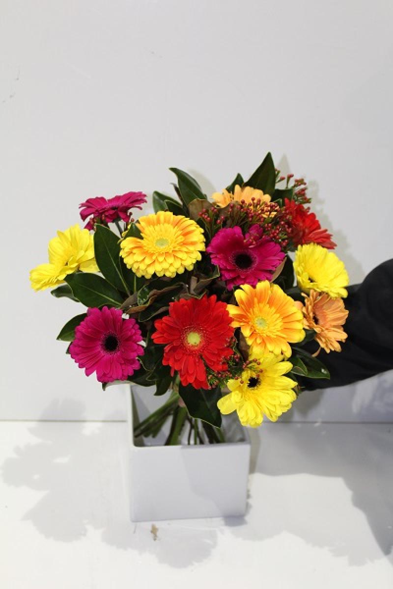 12 Bright Gerberas