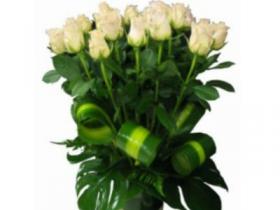 24 White Stem Roses