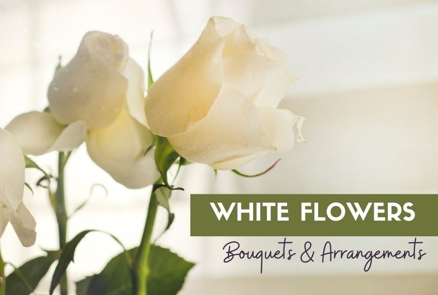 White Flower Bouquets & Arrangements