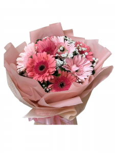 12 Pink Gerberas