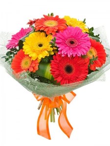 12 Bright Gerberas