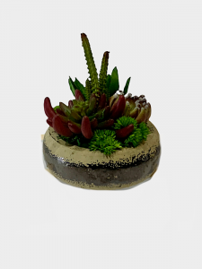 Everlasting Succulent Garden