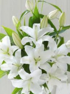 White Lily Bouquet