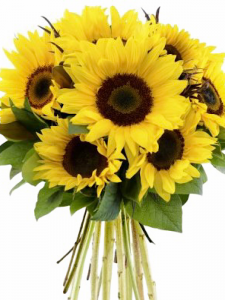 Sunflower Handtied Bunch